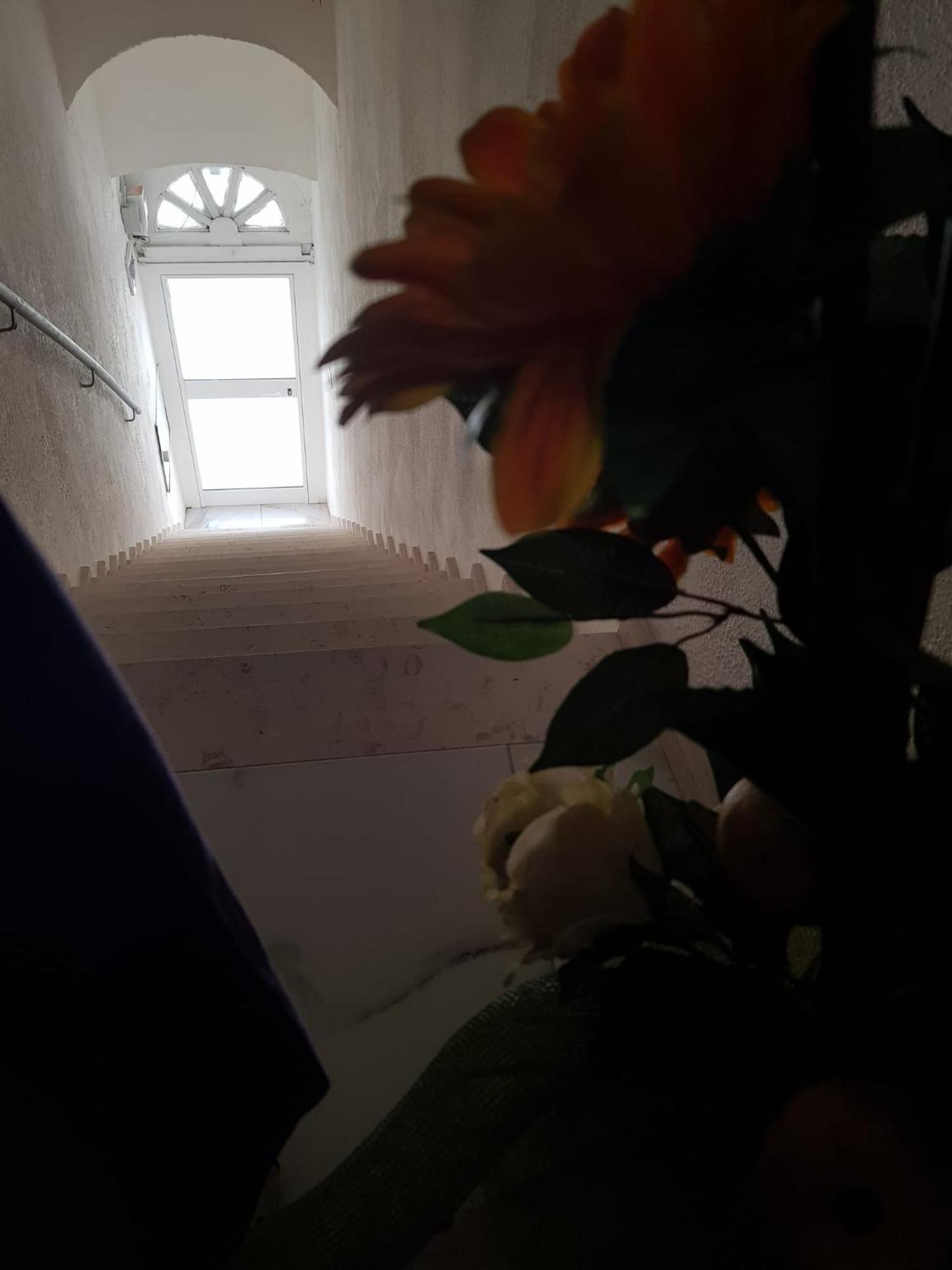 Di Fronzo Guest House T Triggiano Luaran gambar